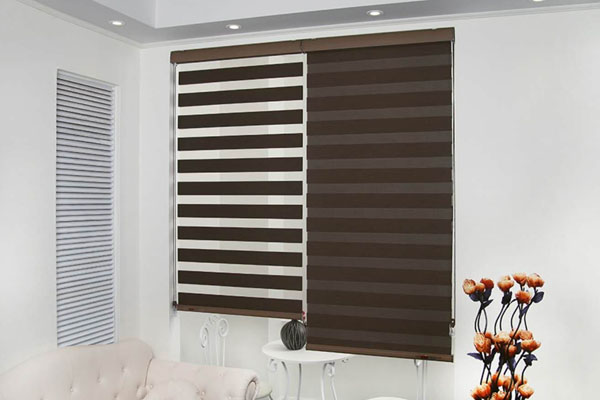 zebra blinds
